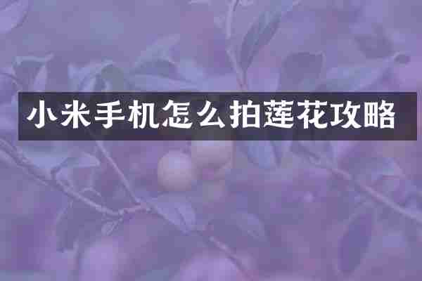 小米手机怎么拍莲花攻略