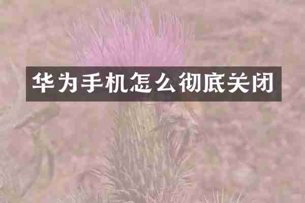 华为手机怎么彻底关闭