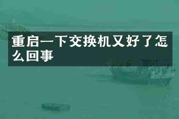 重启一下交换机又好了怎么回事
