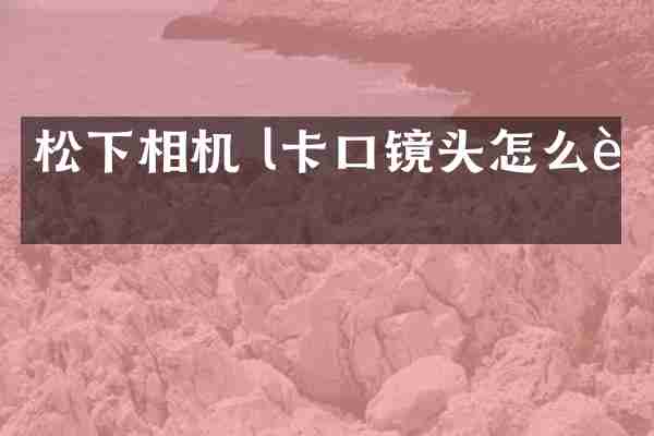 松下相机 l卡口镜头怎么装