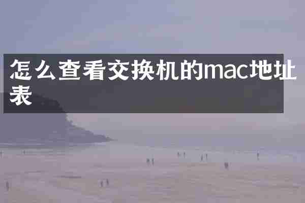 怎么查看交换机的mac地址表