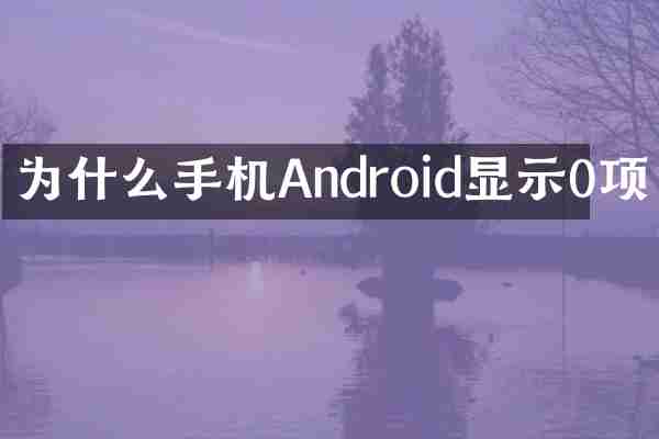 为什么手机Android显示0项