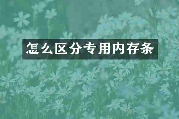 怎么区分专用内存条