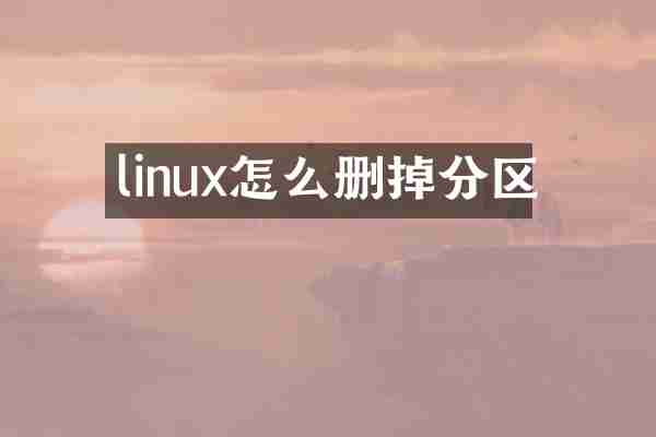 linux怎么删掉分区