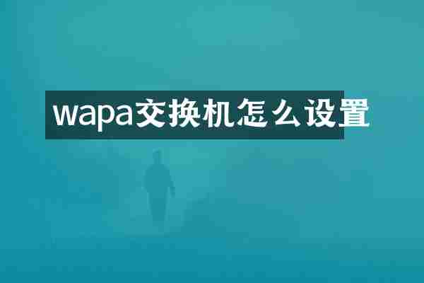 wapa交换机怎么设置