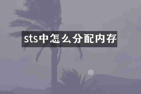 sts中怎么分配内存