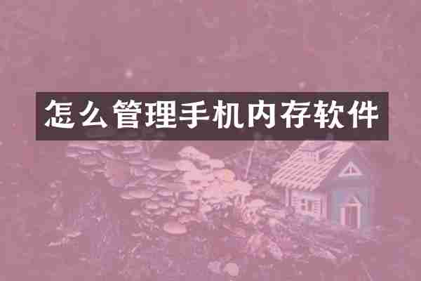 怎么管理手机内存软件