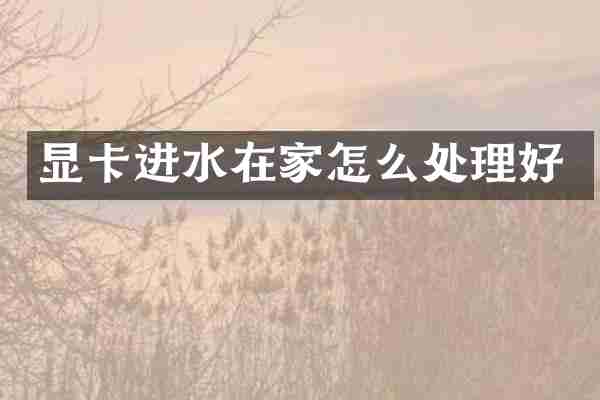 显卡进水在家怎么处理好