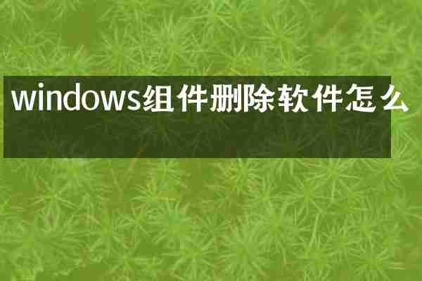 windows组件删除软件怎么办