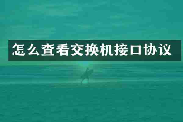 怎么查看交换机接口协议