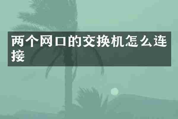 两个网口的交换机怎么连接