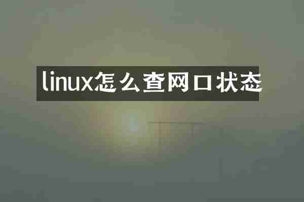 linux怎么查网口状态