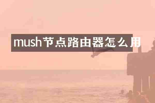 mush节点路由器怎么用