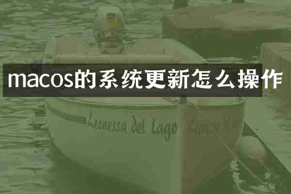 macos的系统更新怎么操作