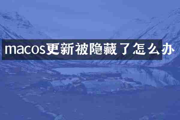 macos更新被隐藏了怎么办