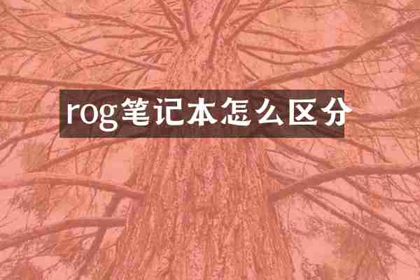 rog笔记本怎么区分