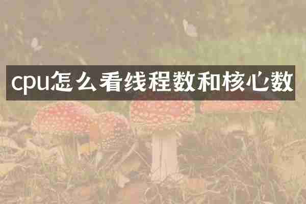 cpu怎么看线程数和核心数