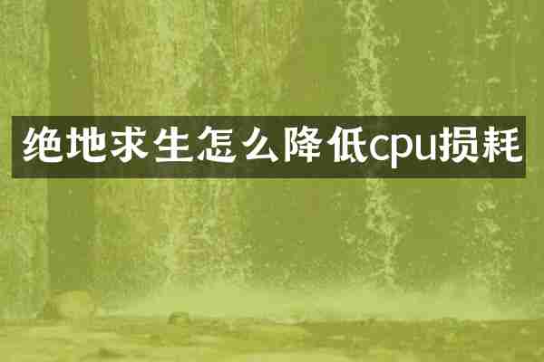 绝地求生怎么降低cpu损耗