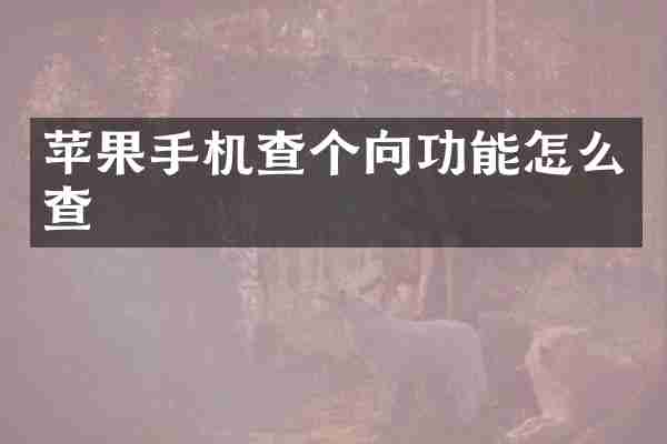 苹果手机查个向功能怎么查