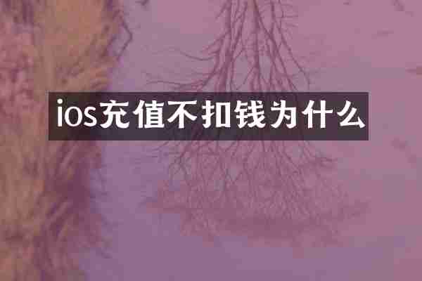 ios充值不扣钱为什么