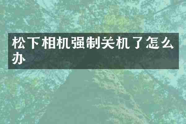 松下相机强制关机了怎么办