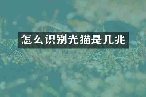 怎么识别光猫是几兆