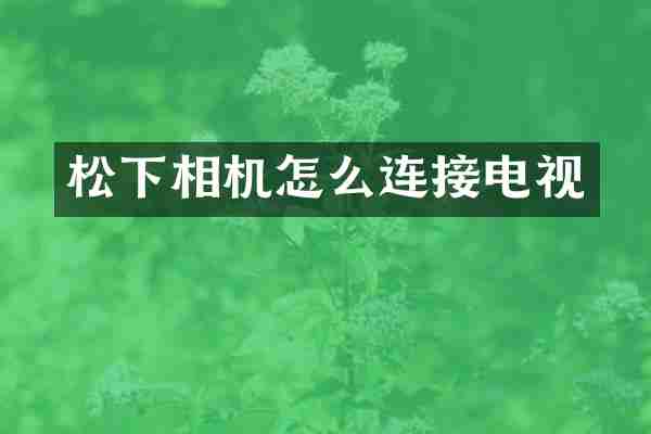 松下相机怎么连接电视