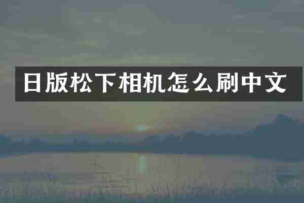 日版松下相机怎么刷中文