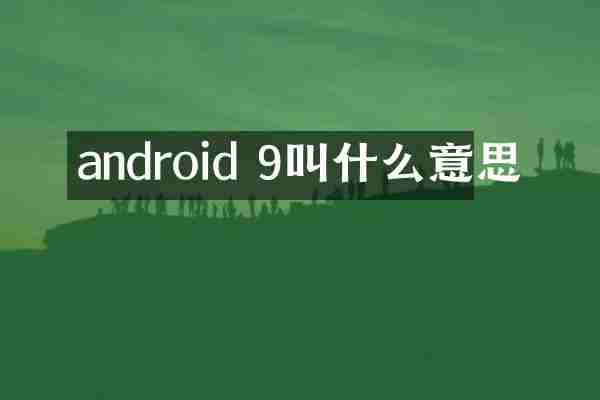 android 9叫什么意思