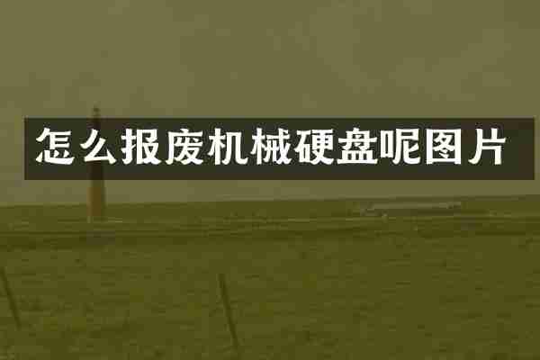怎么报废机械硬盘呢图片