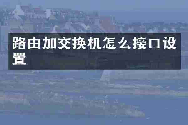 路由加交换机怎么接口设置