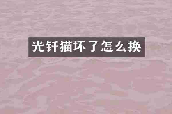 光钎猫坏了怎么换