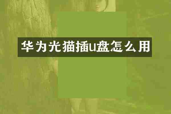 华为光猫插u盘怎么用