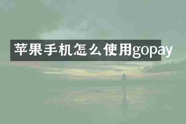 苹果手机怎么使用gopay