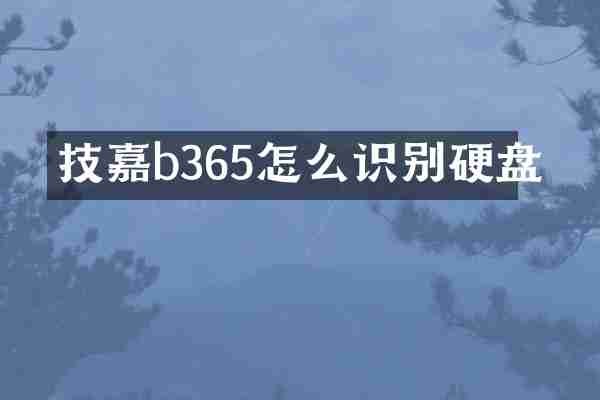 技嘉b365怎么识别硬盘