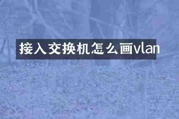 接入交换机怎么画vlan