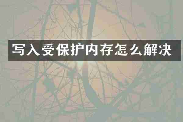 写入受保护内存怎么解决