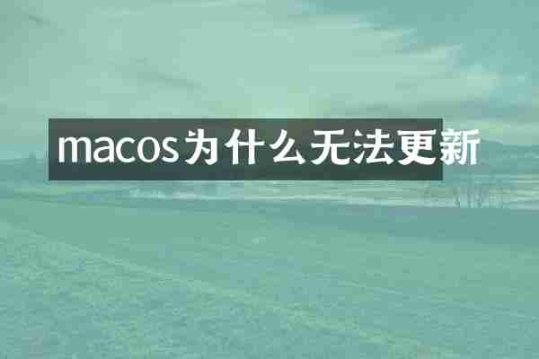 macos为什么无法更新