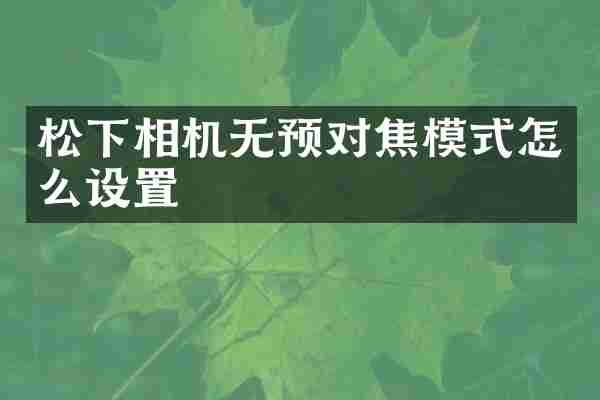 松下相机无预对焦模式怎么设置