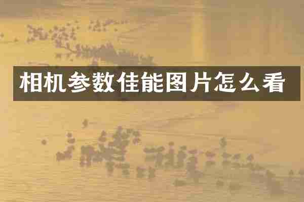 相机参数佳能图片怎么看