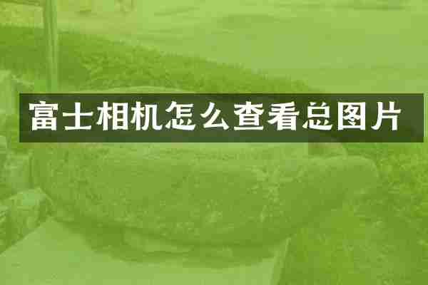 富士相机怎么查看总图片