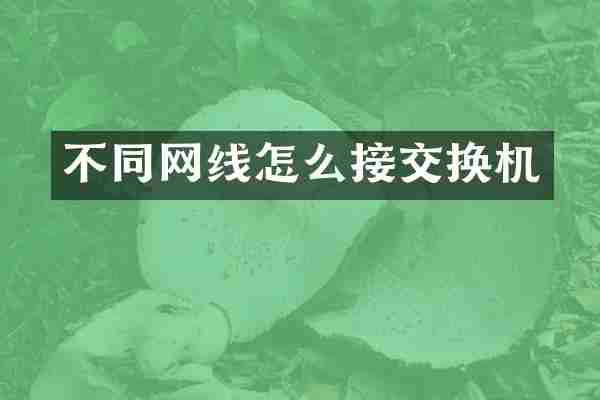 不同网线怎么接交换机