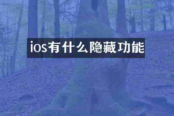 ios有什么隐藏功能