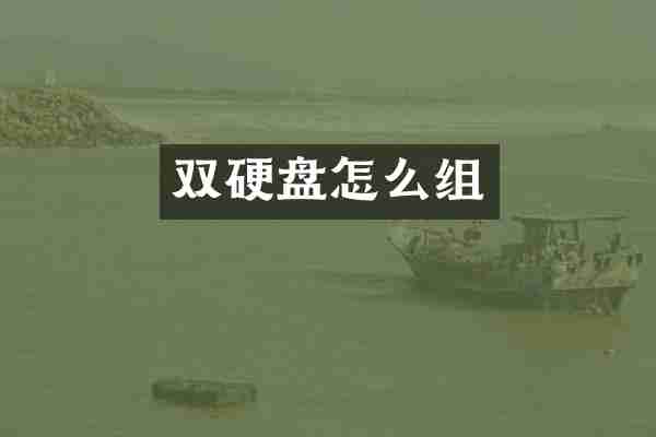 双硬盘怎么组