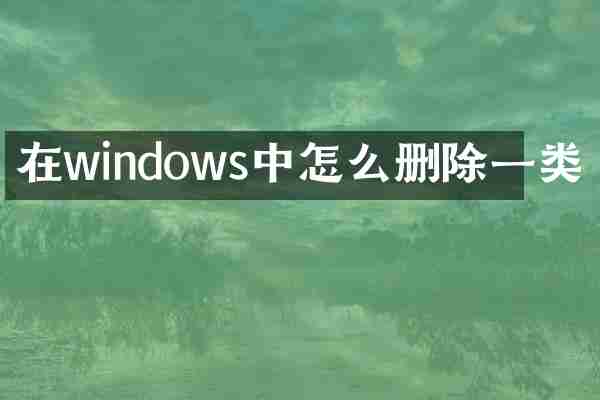 在windows中怎么删除一类