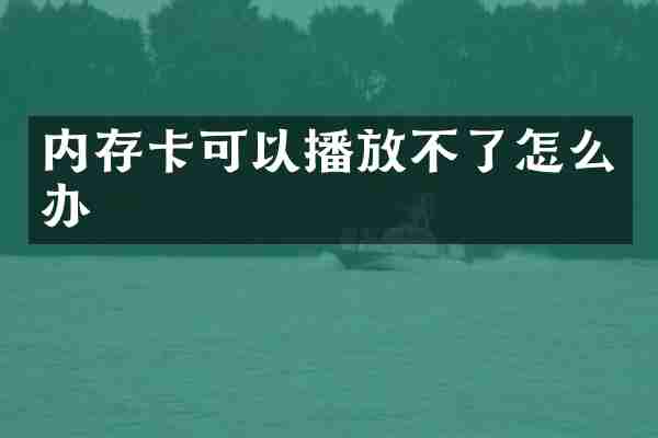 内存卡可以播放不了怎么办