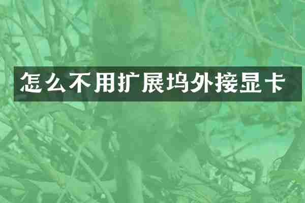 怎么不用扩展坞外接显卡