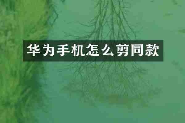 华为手机怎么剪同款