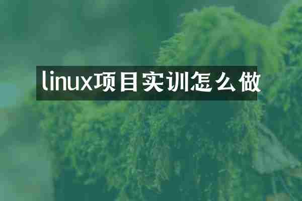 linux项目实训怎么做