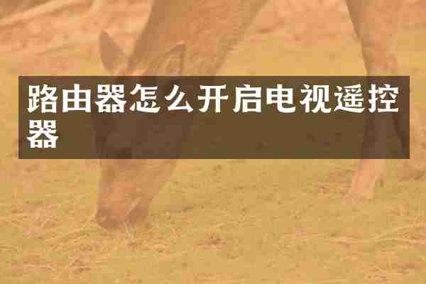 路由器怎么开启电视遥控器